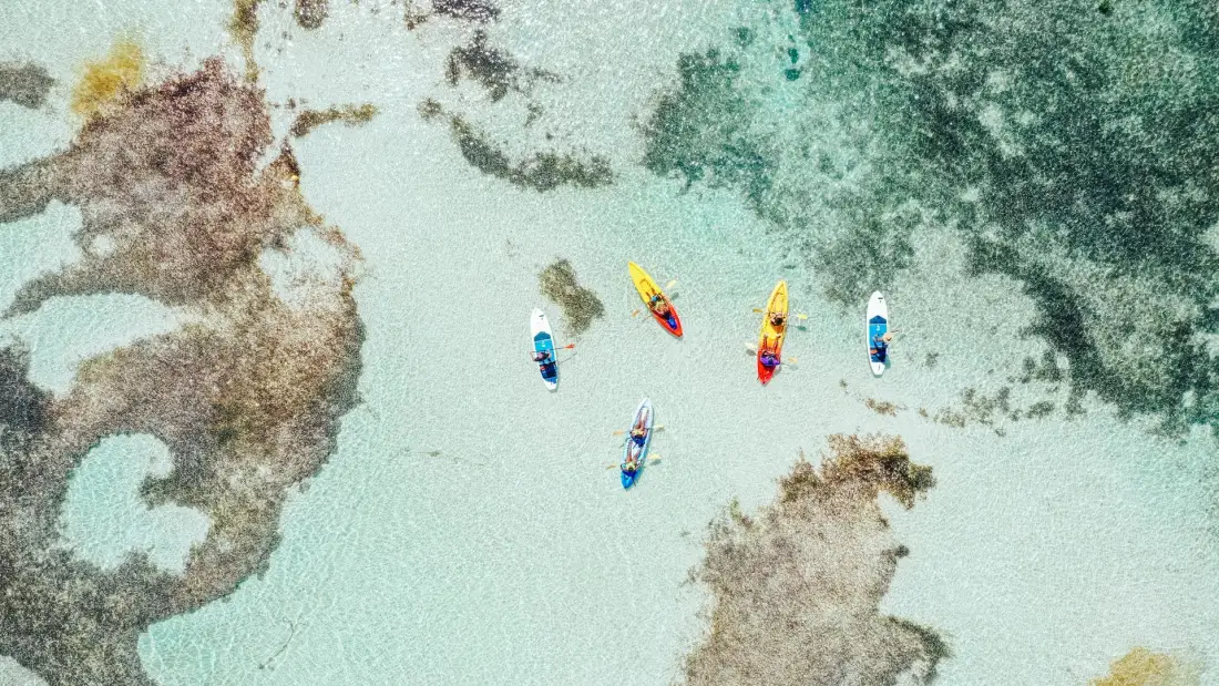 Vue drone de kayaks et paddles Caribbean Paddling dans le lagon de Saint-Martin