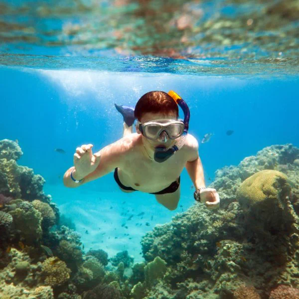 Snorkeling pendant une excursion Rhino Safari a Saint-Martin