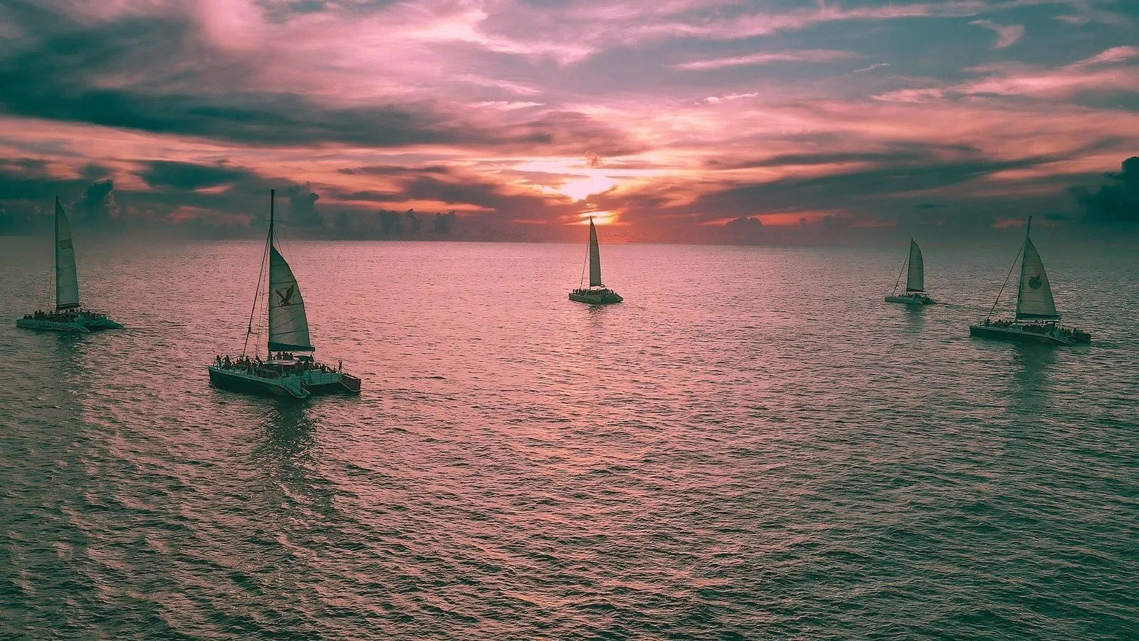 Pink Sunset Sail : octobre rose à Simpson Bay