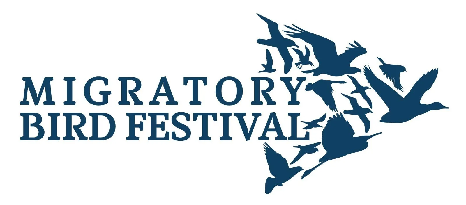 Festival des oiseaux migrateurs à l'Amuseum Naturalis