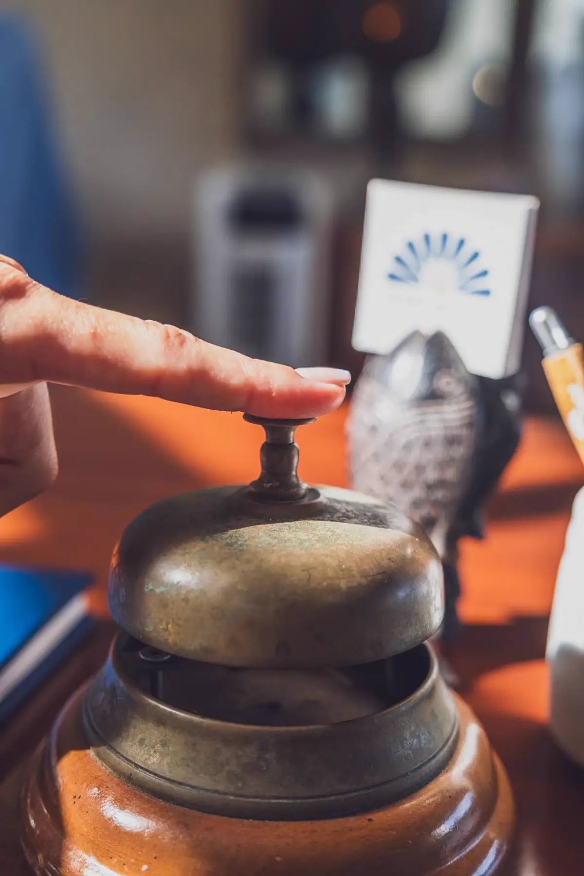 Piscine et jardins de Hotel L'Esplanade