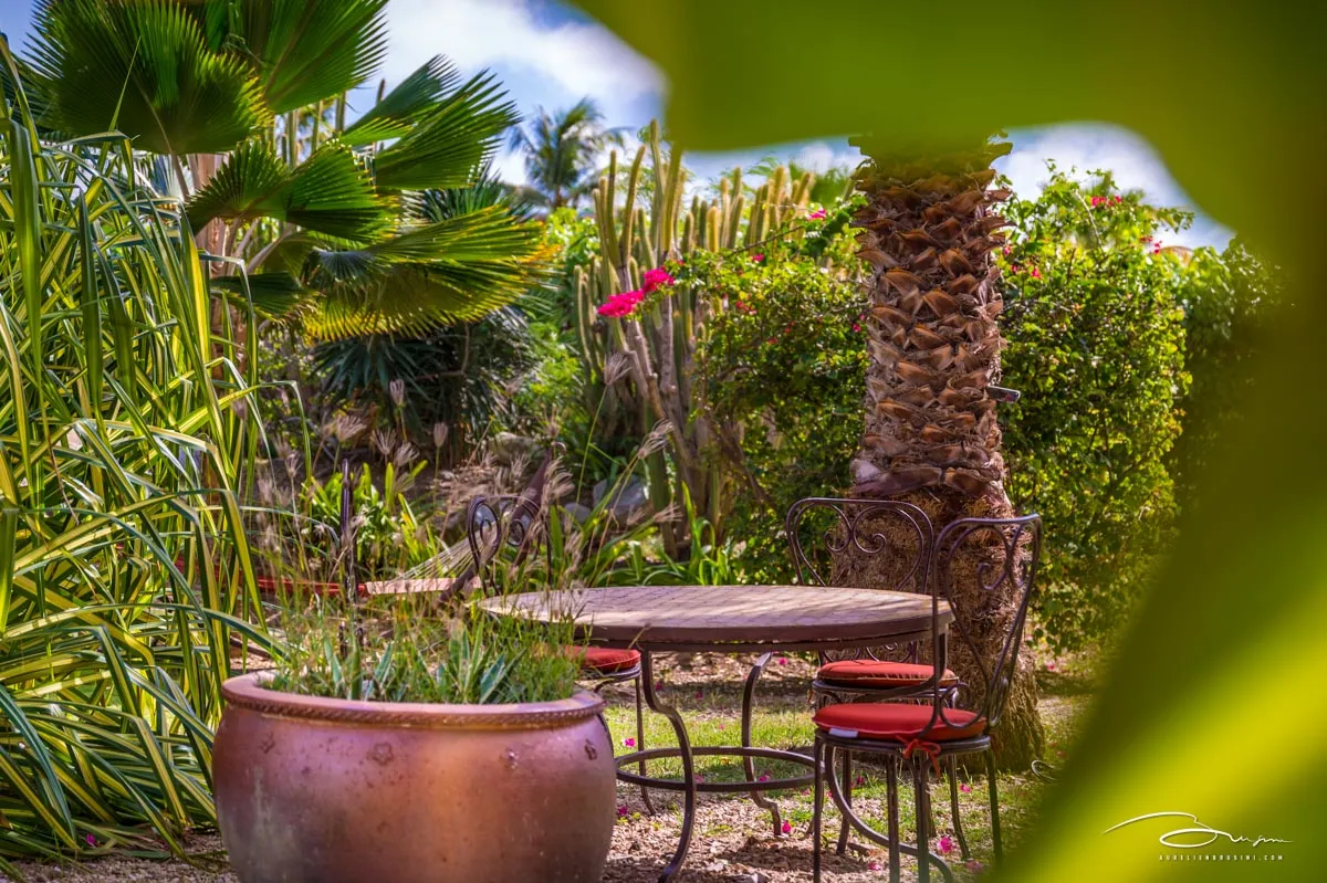 Jardin tropical et coin lecture de Palm Court Residence