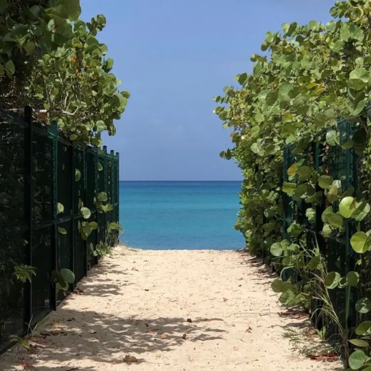 Accès sableux vers la plage de Plum Bay entre la végétation