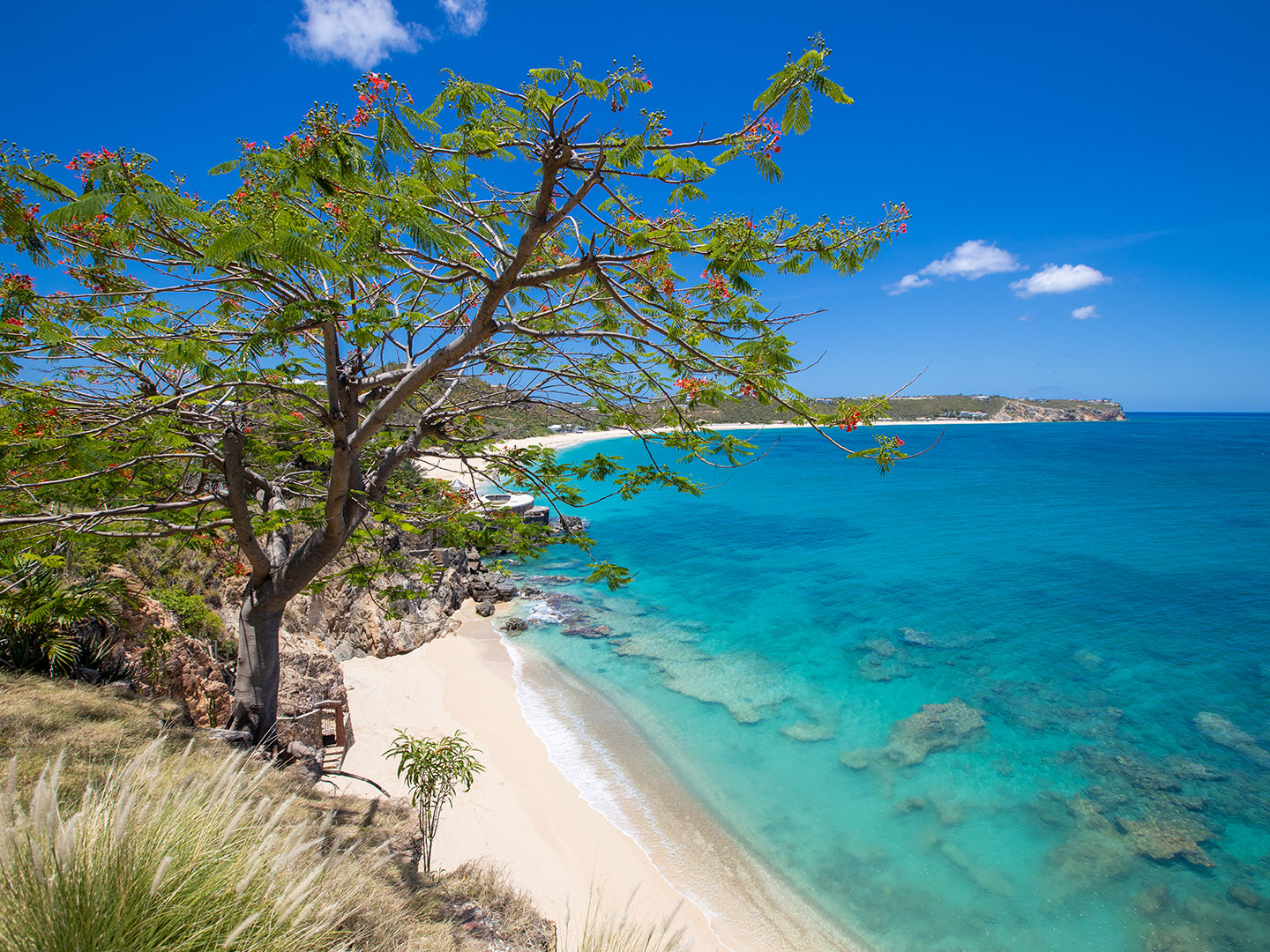 Falaises spectaculaires encadrant la plage de Baie Rouge