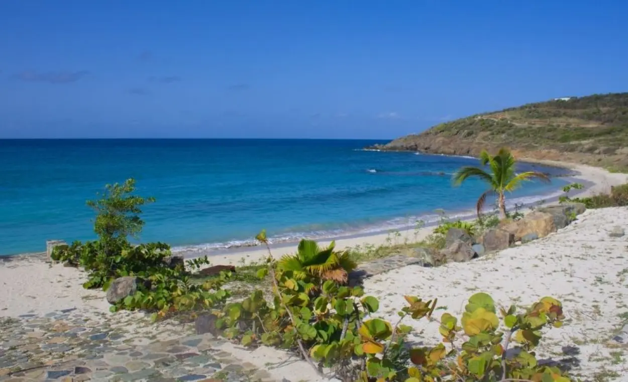 Cay Bay / Indigo Bay