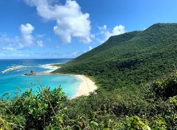 Plage de Grandes Cayes et végétation de la réserve naturelle