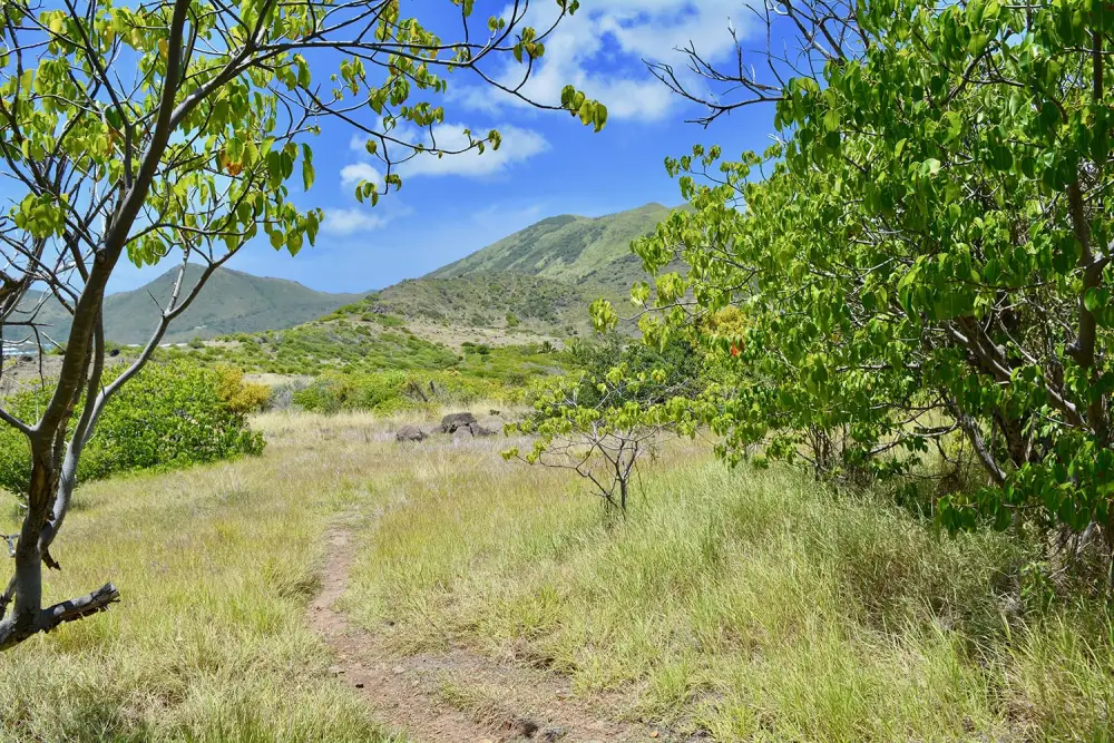 Sentier nature pour rejoindre Happy Bay depuis Friar's Bay