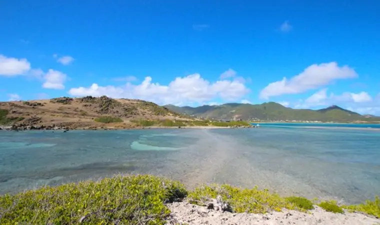 Paysage sauvage de lagon et végétation à la Baie de l'Embouchure