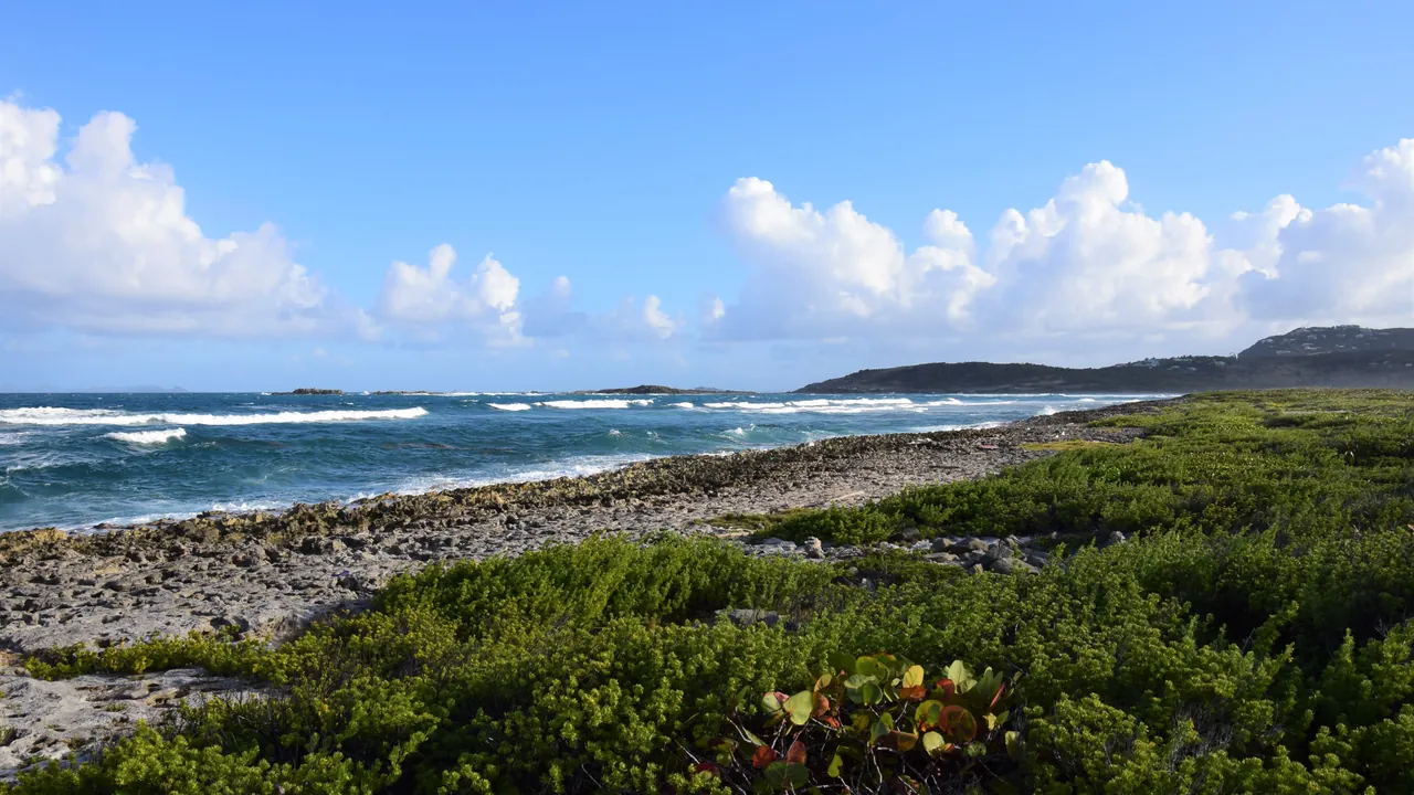 Récif et végétation littorale de la Réserve Naturelle de Saint-Martin face à l'Atlantique