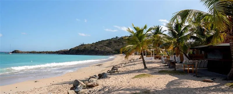 Le beach bar et l'ambiance de Friar's Bay