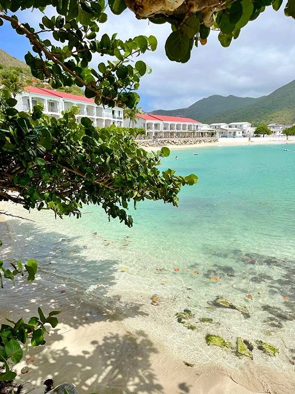 Eaux turquoise et végétation de Grand Case