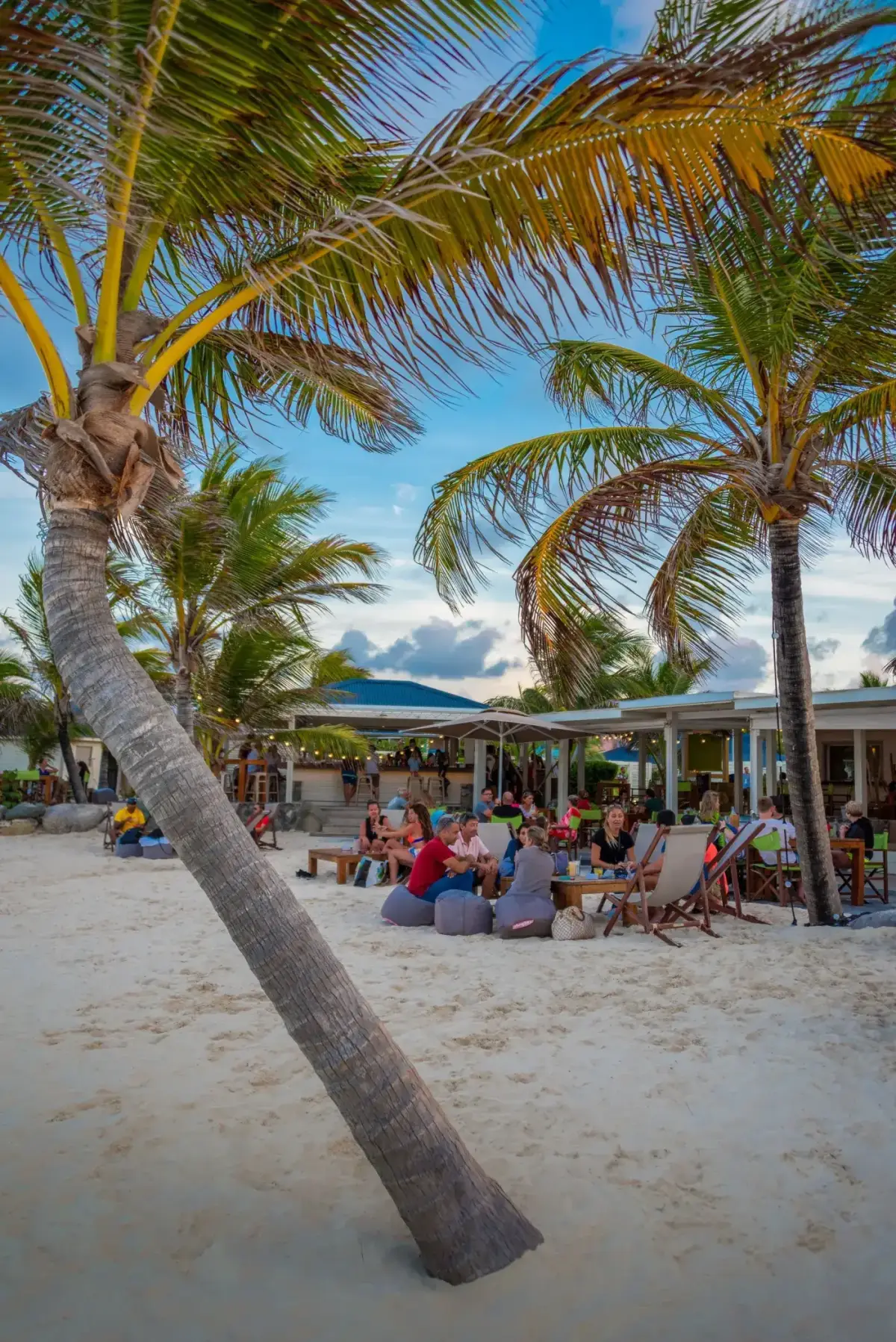 Bikini Beach - terrasse animée sous les cocotiers en bord de plage
