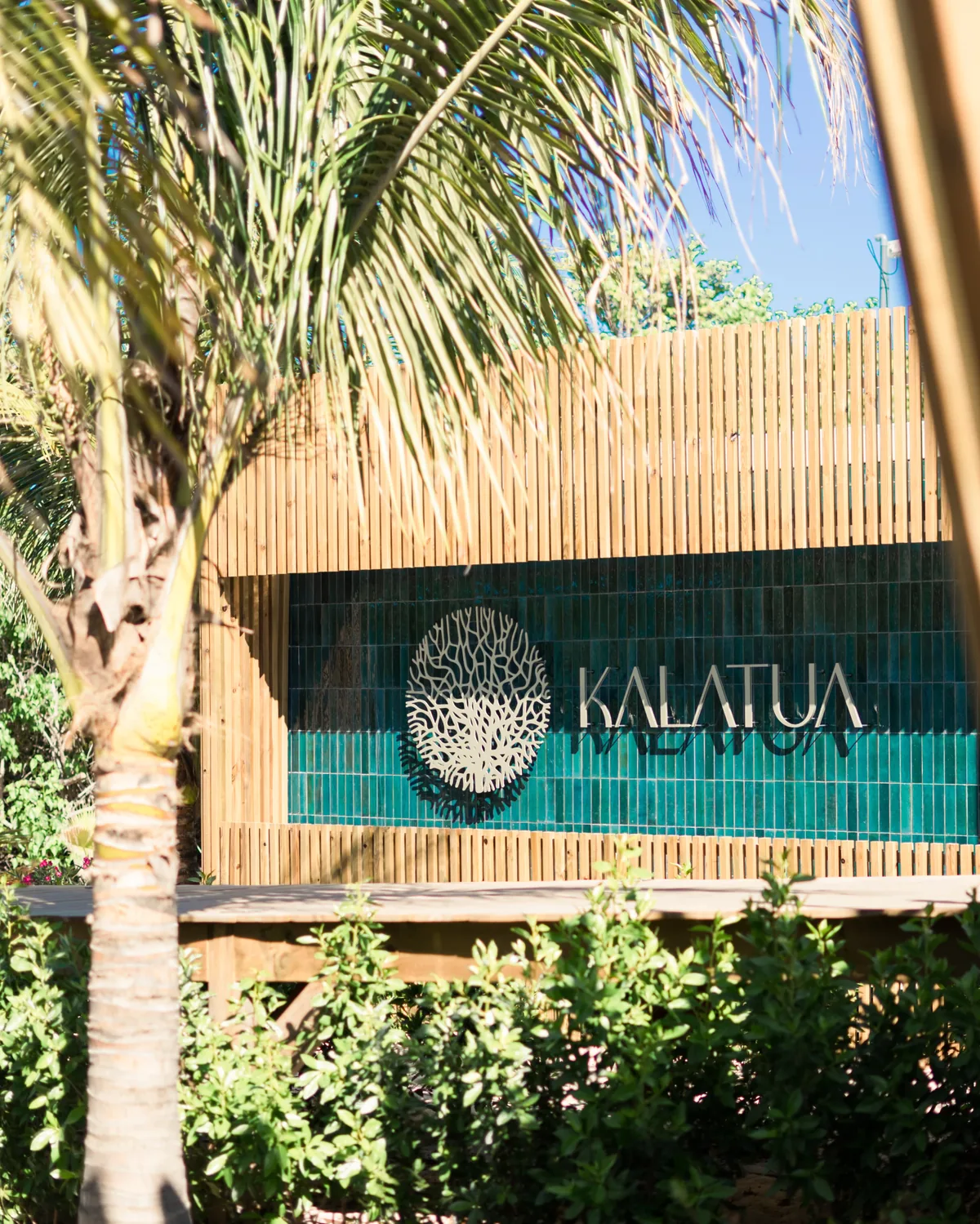 Daurade et linguines aux fruits de mer servis en terrasse de Kalatua face à la mer