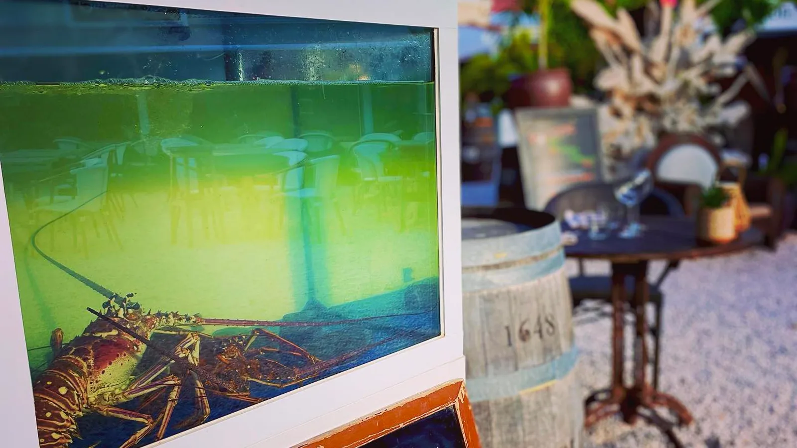La Favela à la Baie Orientale - terrasse tropicale avec vivier à langoustes