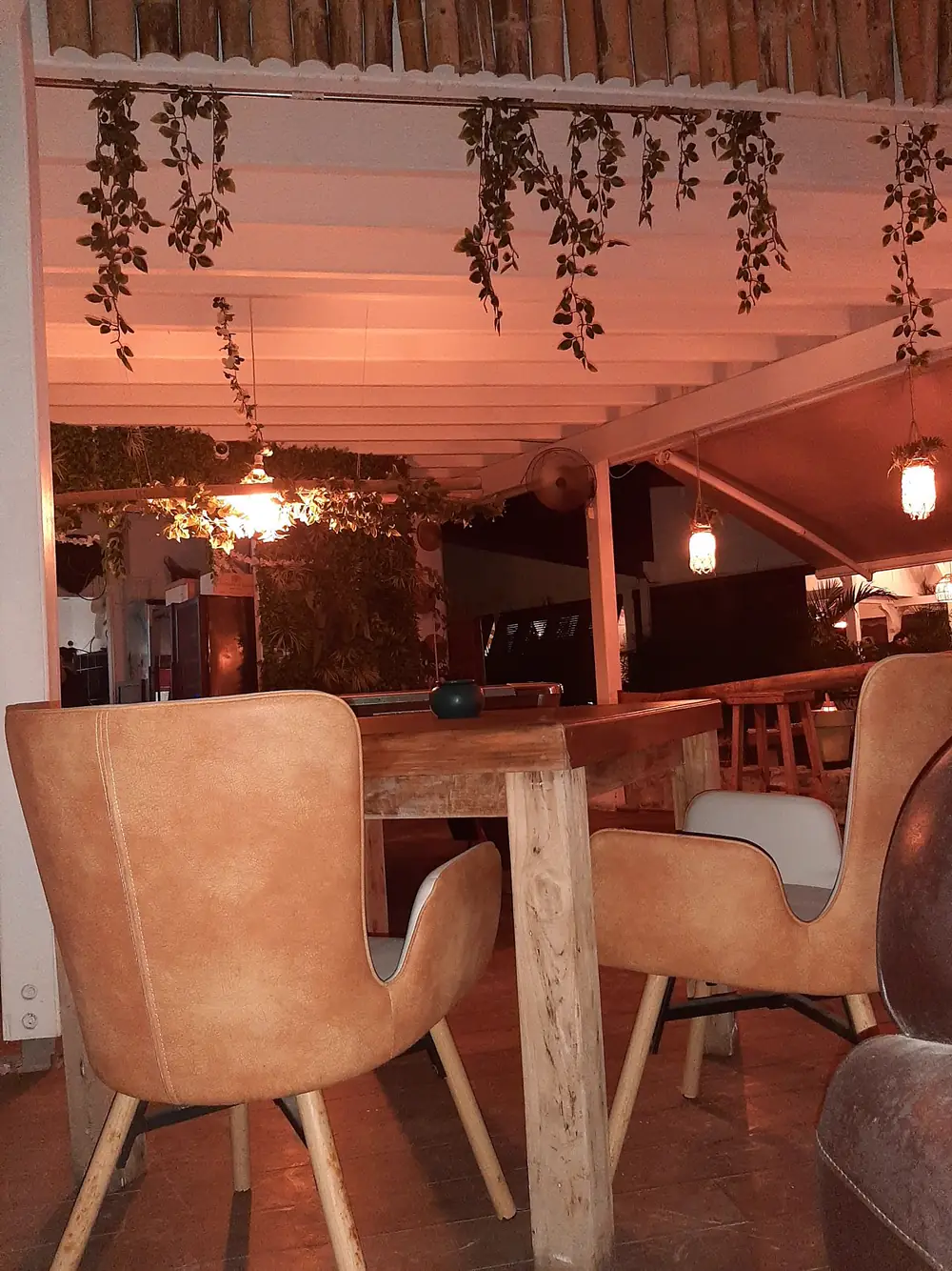 La Favela - salle et terrasse avec chaises en cuir, plantes et lumières chaudes