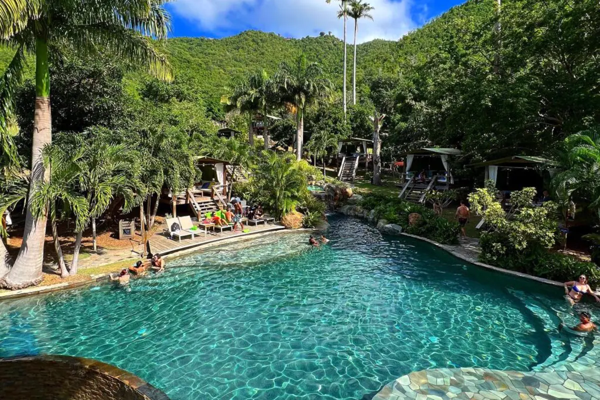 Piscine jungle de Loterie Farm entouree de palmiers et de vegetation tropicale