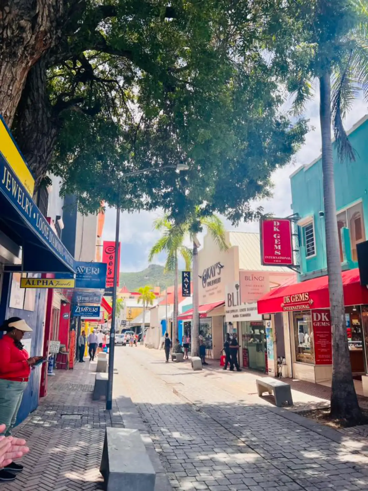 Front Street à Philipsburg, boutiques colorées sous les arbres