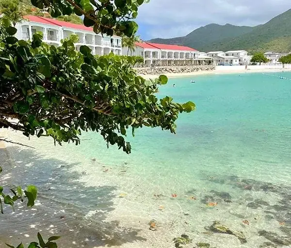 Eaux turquoise et végétation de Grand Case
