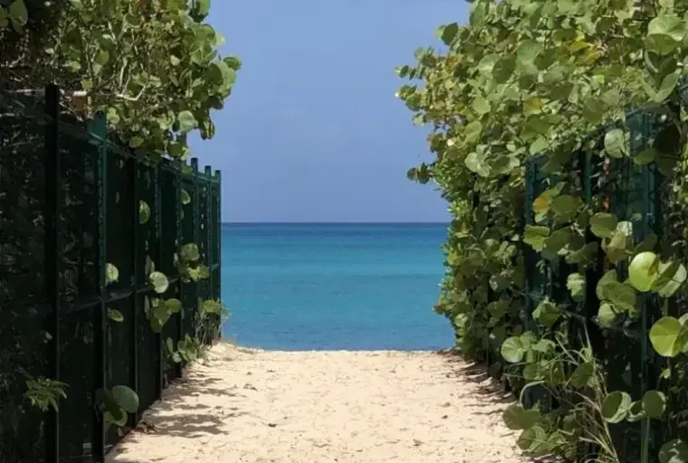 Accès sableux vers la plage de Plum Bay entre la végétation