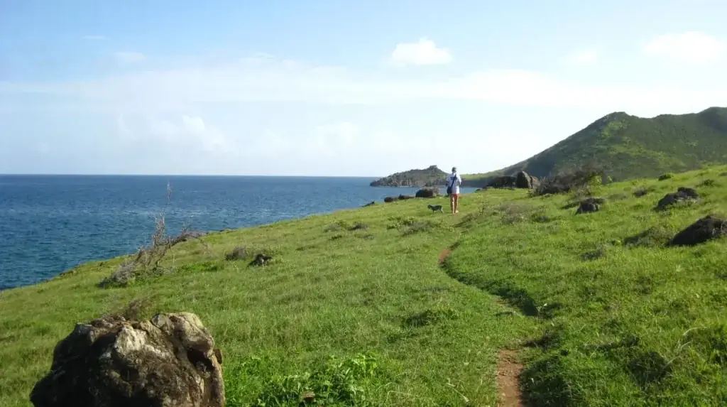 Sentier côtier sauvage entre Guana Bay et Geneve Bay à Sint Maarten
