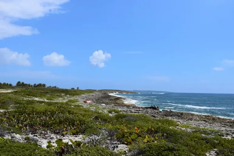 Côte sauvage de la Réserve Naturelle de Saint-Martin, paysage atlantique