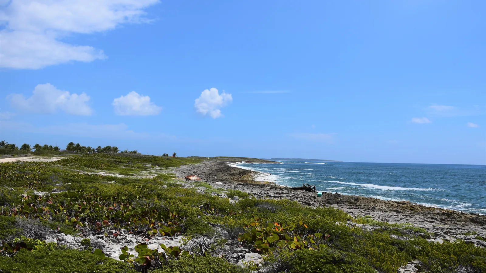 Côte rocheuse et atlantique de la Réserve Naturelle de Saint-Martin, paysage sauvage type Îlet Pinel